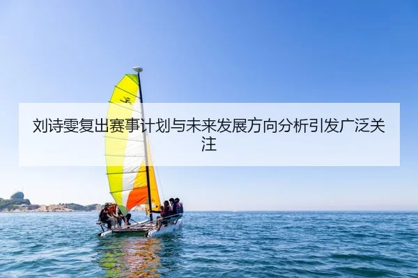 刘诗雯复出赛事计划与未来发展方向分析引发广泛关注